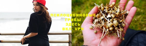 СК Армянск