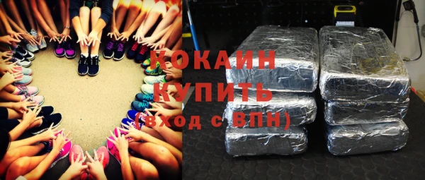 шишки Арсеньев