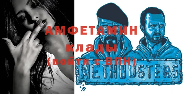 шишки Арсеньев