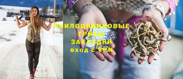 шишки Арсеньев