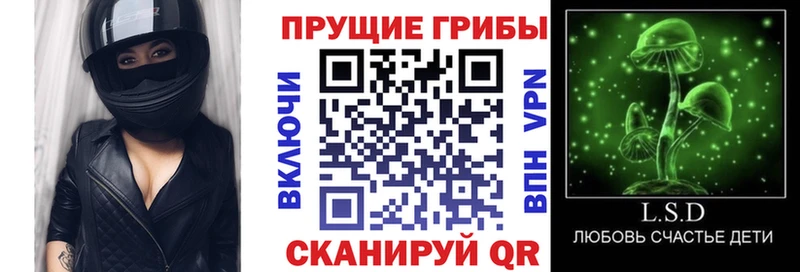 цены наркотик  Чайковский  Псилоцибиновые грибы Magic Shrooms 