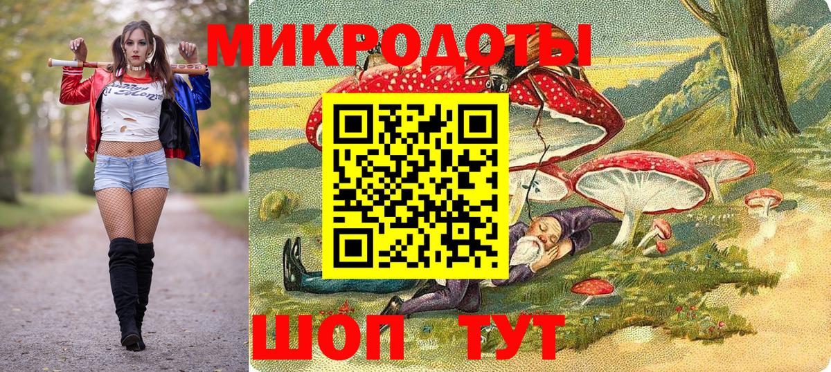 Галлюциногенные грибы Psilocybe Чайковский