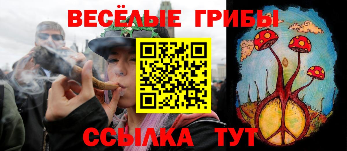 Чайковский  Галлюциногенные грибы MAGIC MUSHROOMS  Вход с VPN 